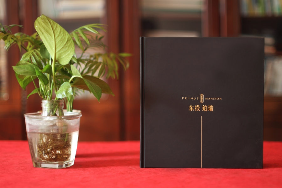 宣傳冊(cè)設(shè)計(jì)這么做，大氣側(cè)漏！